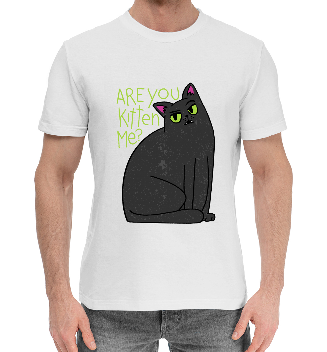 

Are You Kitten Me
