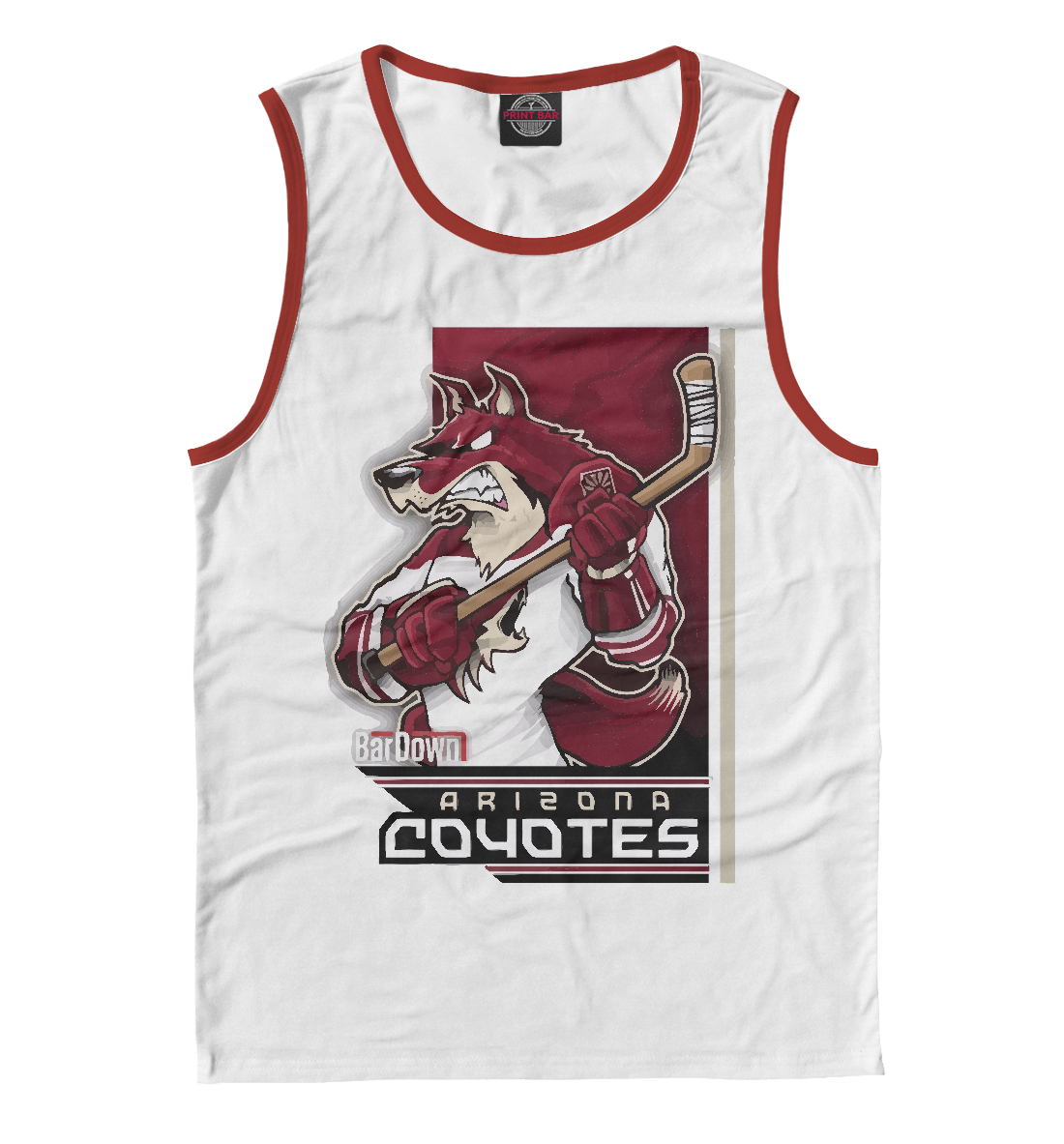 

Arizona Coyotes