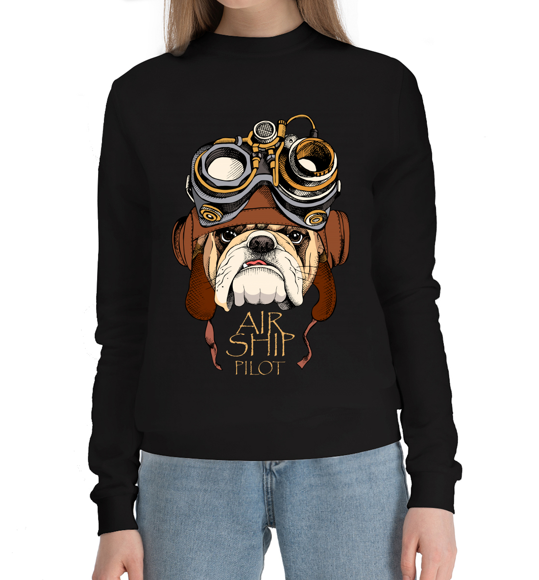

Air ship pilot