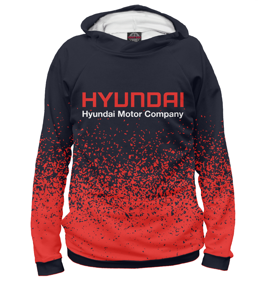 

Hyundai Motor - Paint