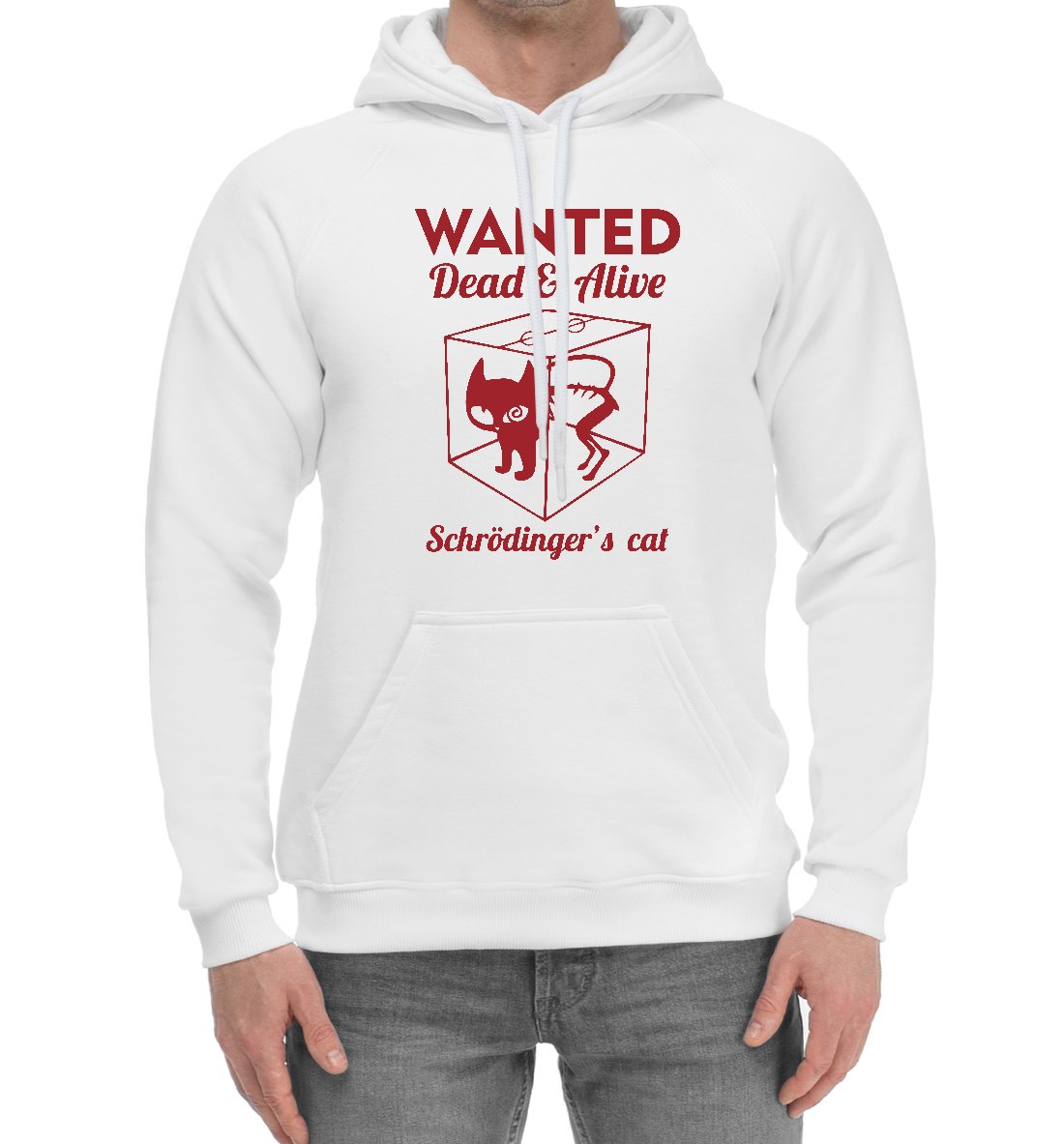 

Wanted Cat