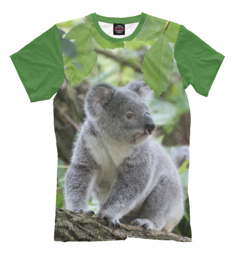 

Мужская футболка Коала