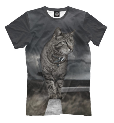 

Мужская футболка Кот и гроза