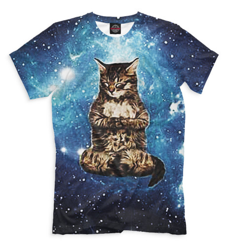 

Мужская футболка Кот в космосе