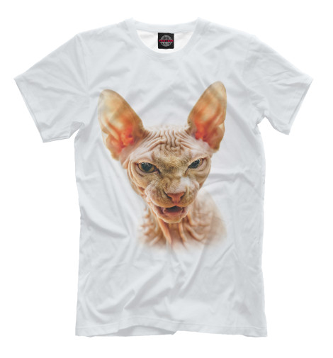 

Мужская футболка Сфинкс