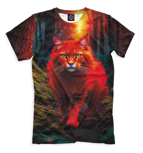 

Мужская футболка Мейн-кун