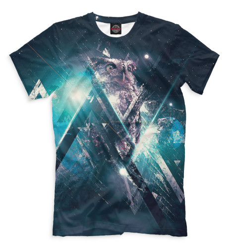 

Мужская футболка Совы