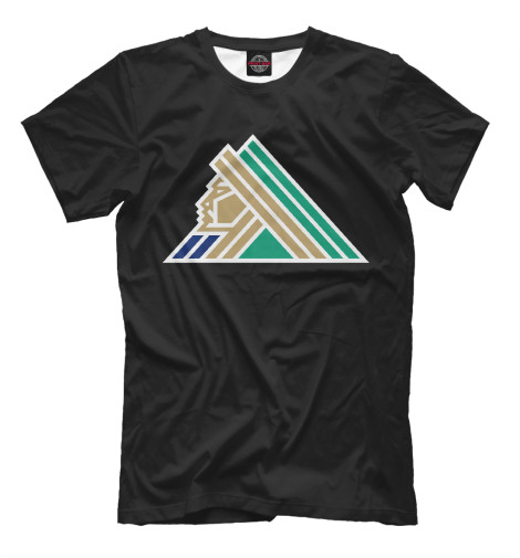 

Мужская футболка Салават Юлаев