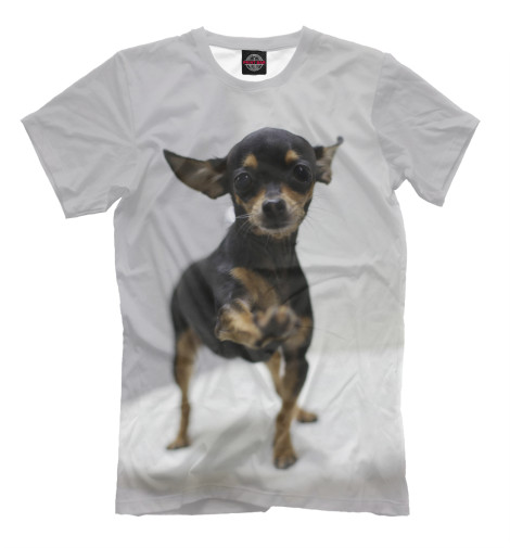 

Мужская футболка Той-терьер