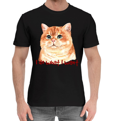 

Мужская хлопковая футболка Коты