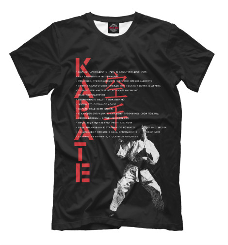 

Мужская футболка заповеди каратэ