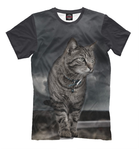 

Мужская футболка Кот