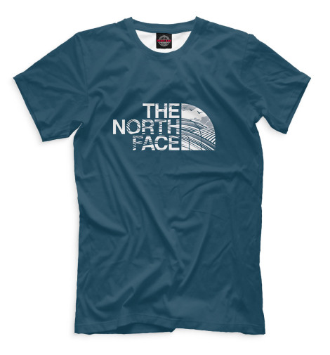 

Мужская футболка The North Face