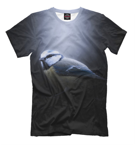 

Мужская футболка На свету