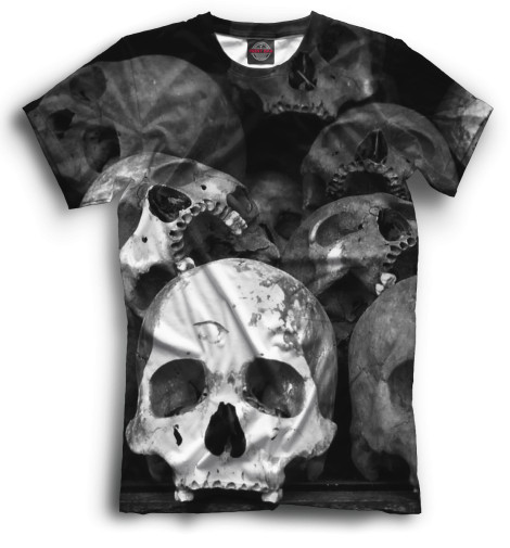 

Мужская футболка Skull