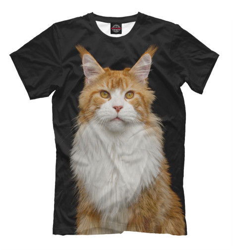 

Мужская футболка Мейн кун