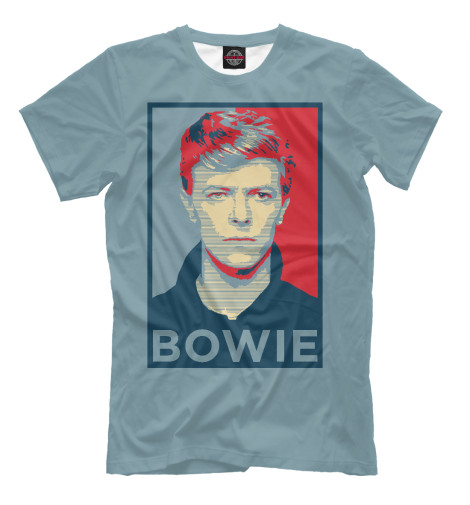 

Мужская футболка David