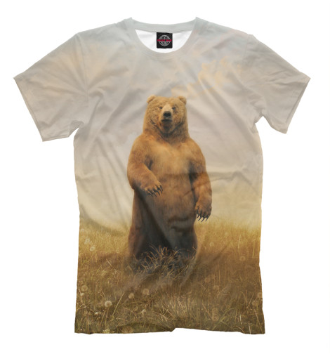 

Мужская футболка Мишка