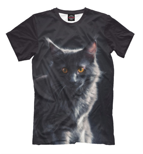 

Мужская футболка Мейн кун