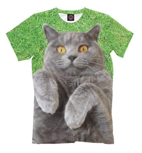 

Мужская футболка Кот