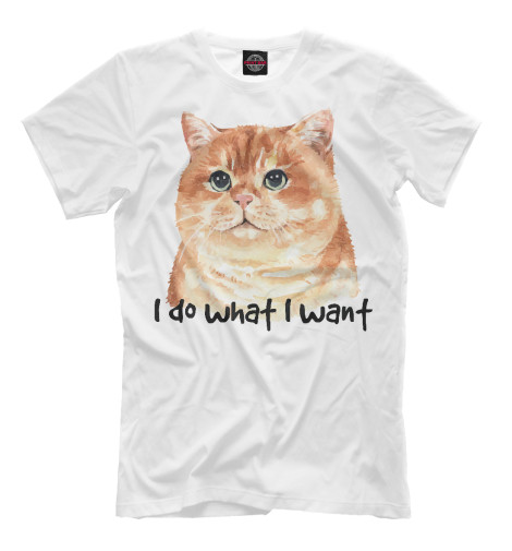 

Мужская футболка Что хочу то и ворочу