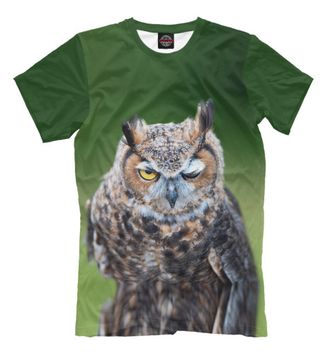 

Мужская футболка Сова