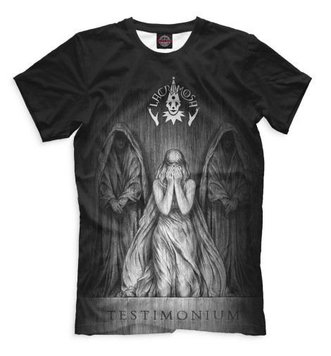 

Мужская футболка Lacrimosa