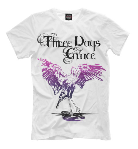 

Мужская футболка Three Days Grace