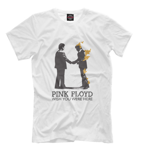 

Мужская футболка Pink Floyd