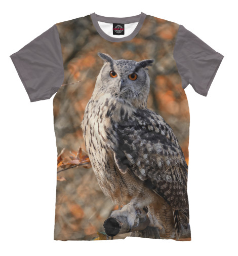 

Мужская футболка Owl