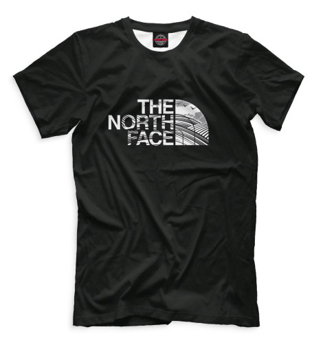 

Мужская футболка The North Face
