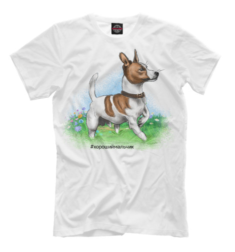 

Мужская футболка Хороший мальчик