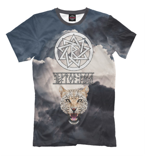 

Мужская футболка Славянский чертог Раса