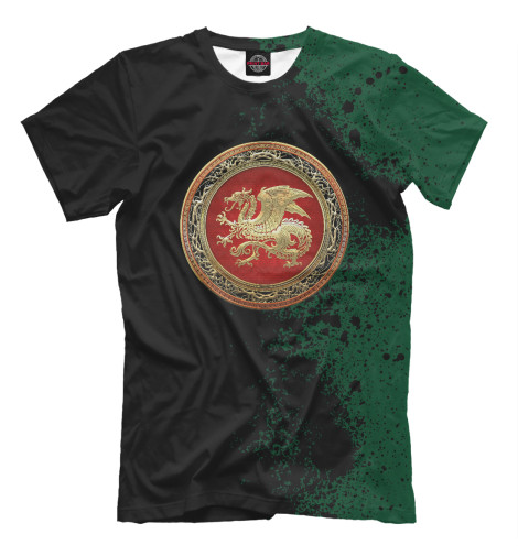 

Мужская футболка Icelandic Dragon