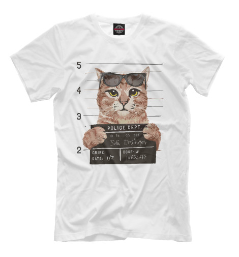 

Мужская футболка Кота замели