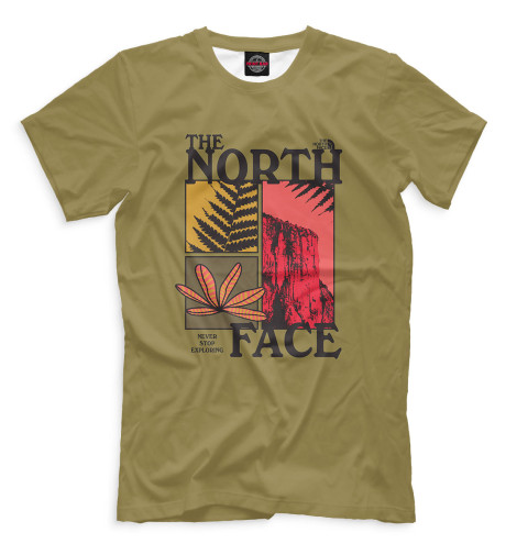 

Мужская футболка The North Face