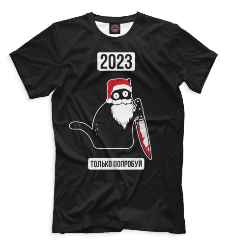 

Мужская футболка 2023 только попробуй