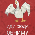 Гуси
