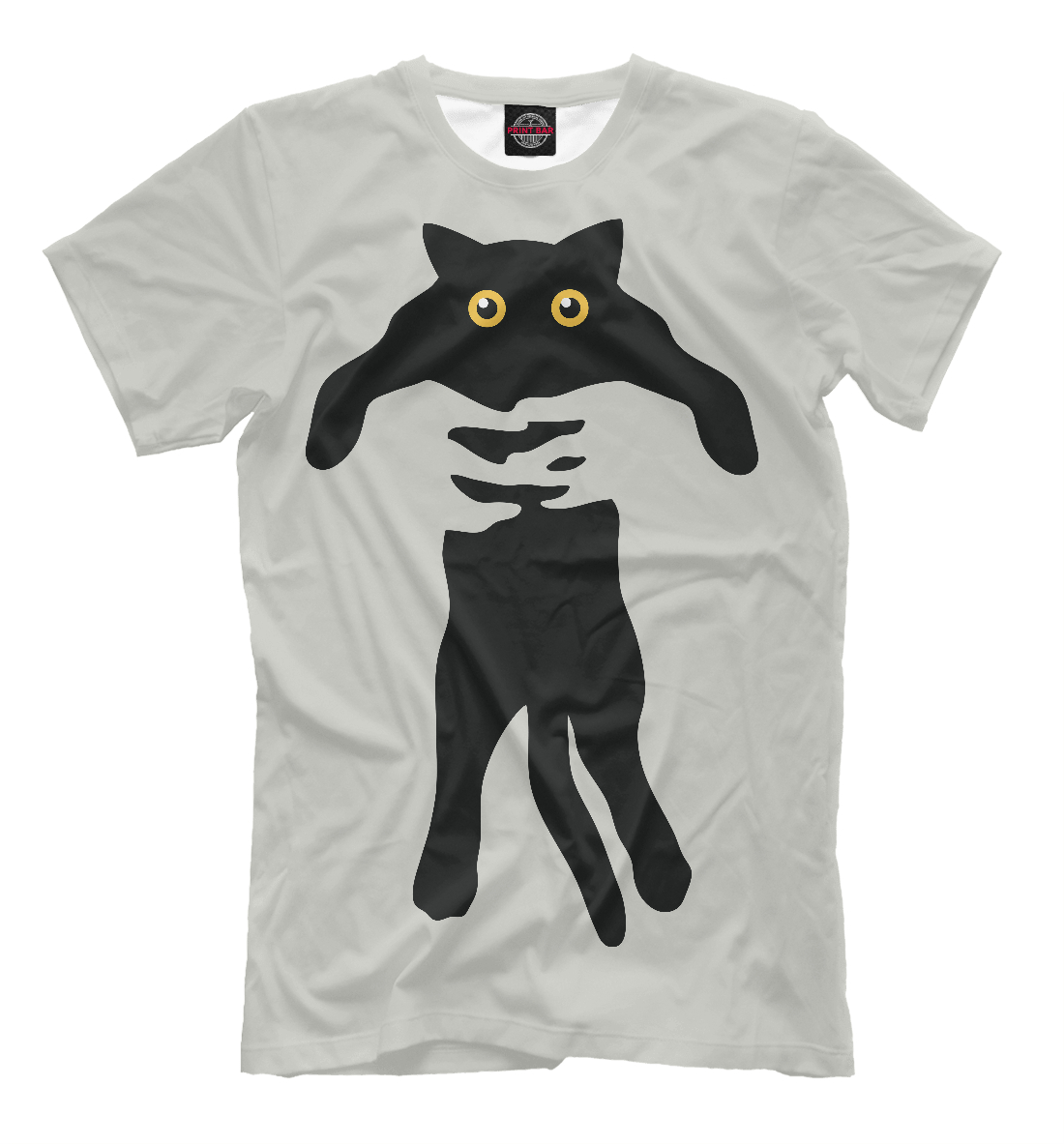 Женская футболка с принтом Кот в руках