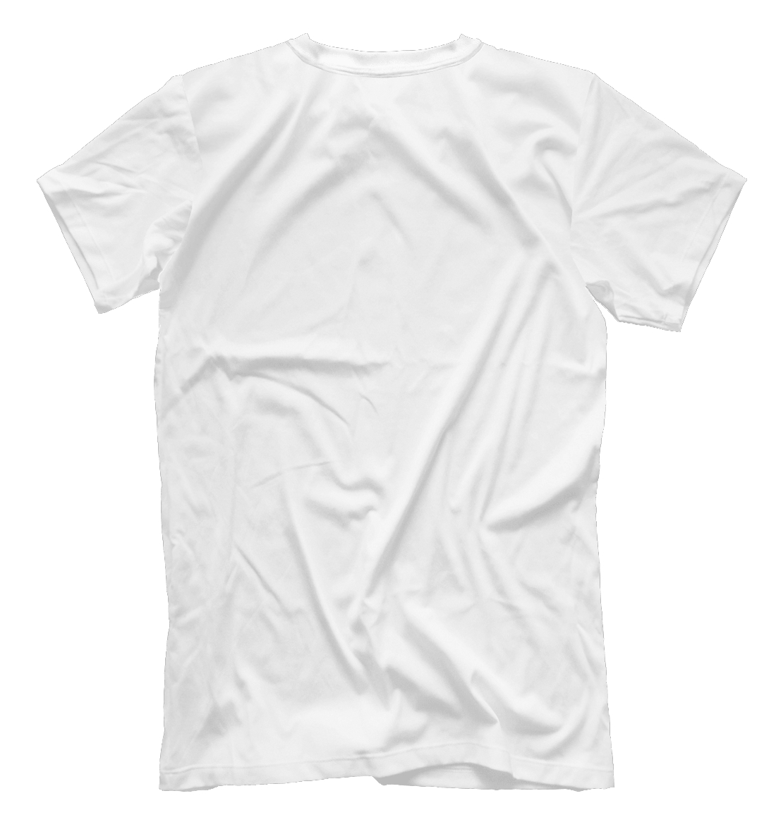 Мужская футболка с принтом Mathematics and physics Science doesnt care  - фото 2-спина