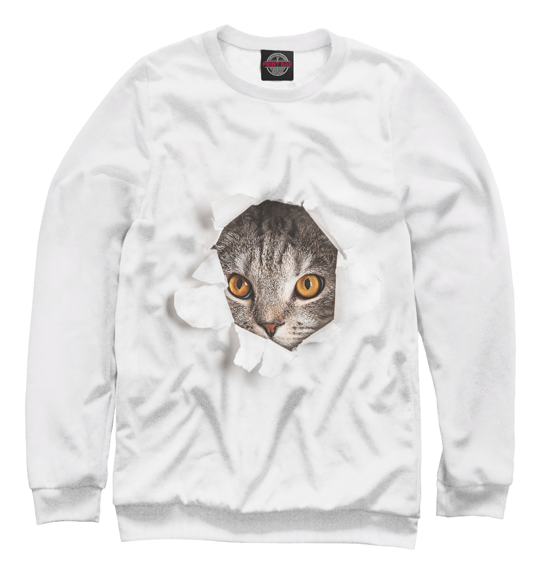 Худи с котами