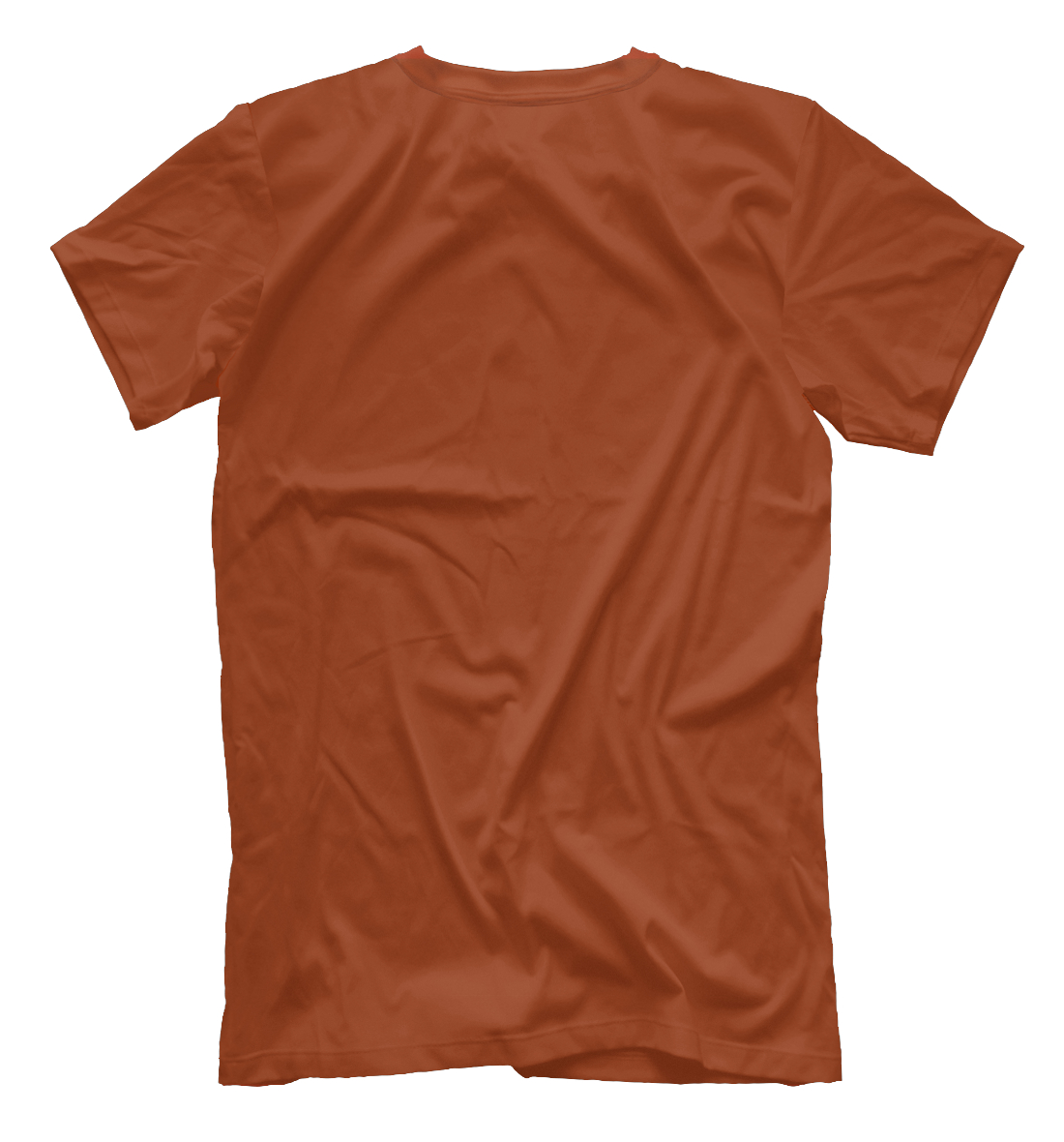 Мужская футболка с принтом МЧС  - фото 2-спина