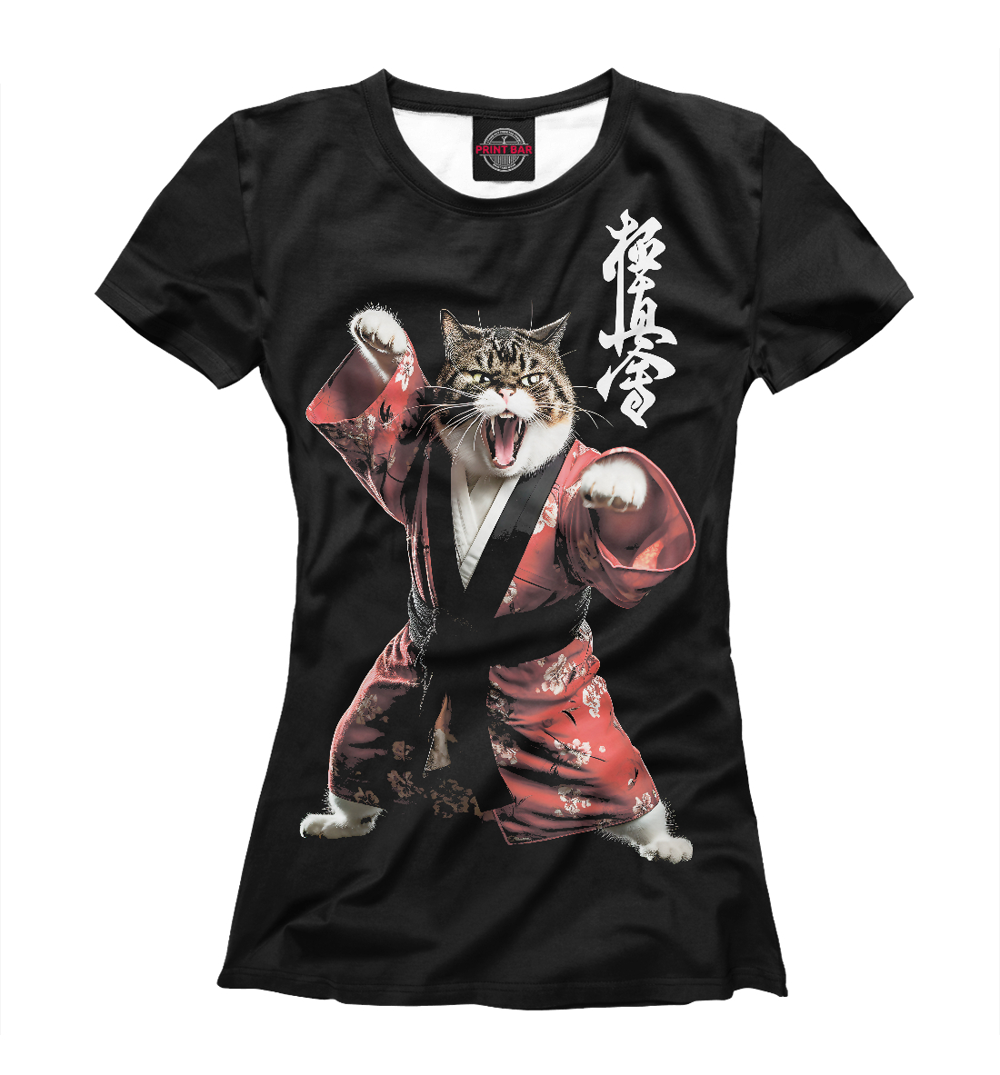 Кошка каратистка