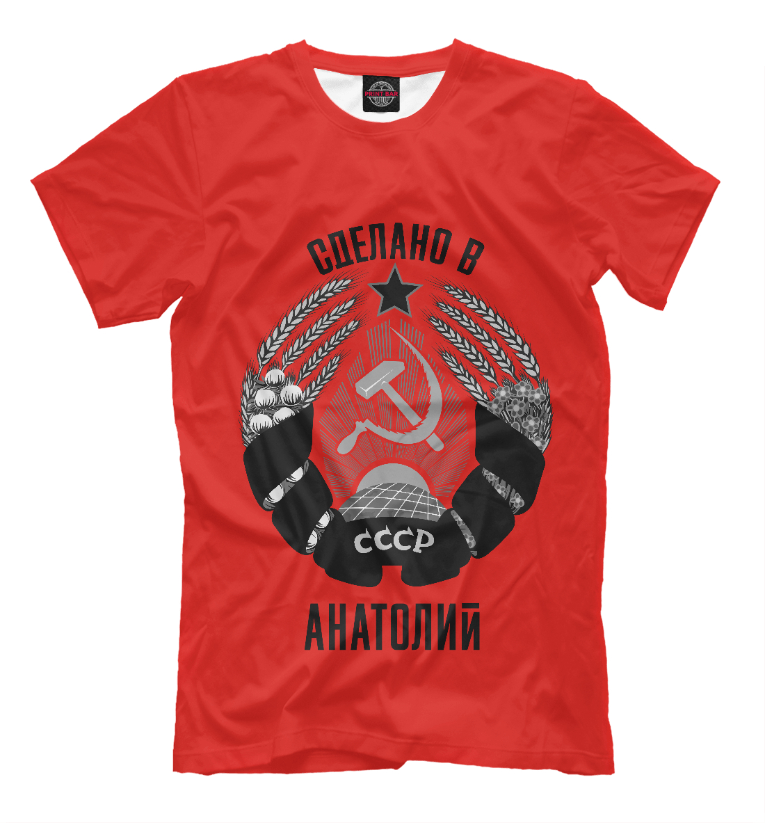 Мужская футболка с принтом Анатолий сделано в СССР