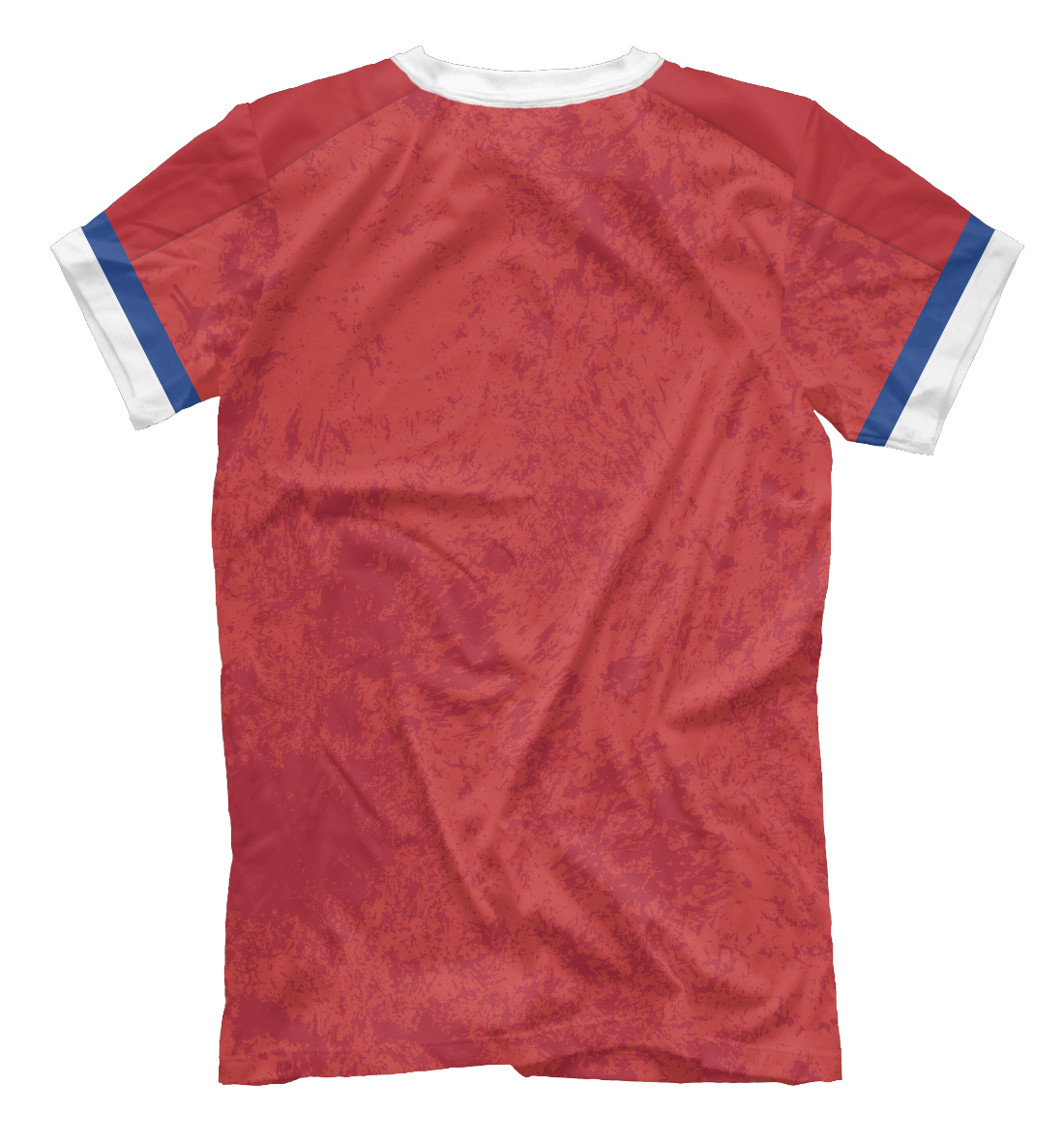 Мужская футболка с принтом Форма Сборной России на Евро 2020  - фото 2-спина
