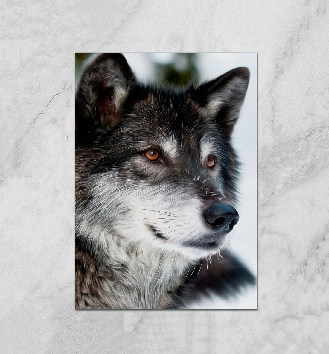 Постер с волком. Плакат с волком. Постер волки. Плак волк.