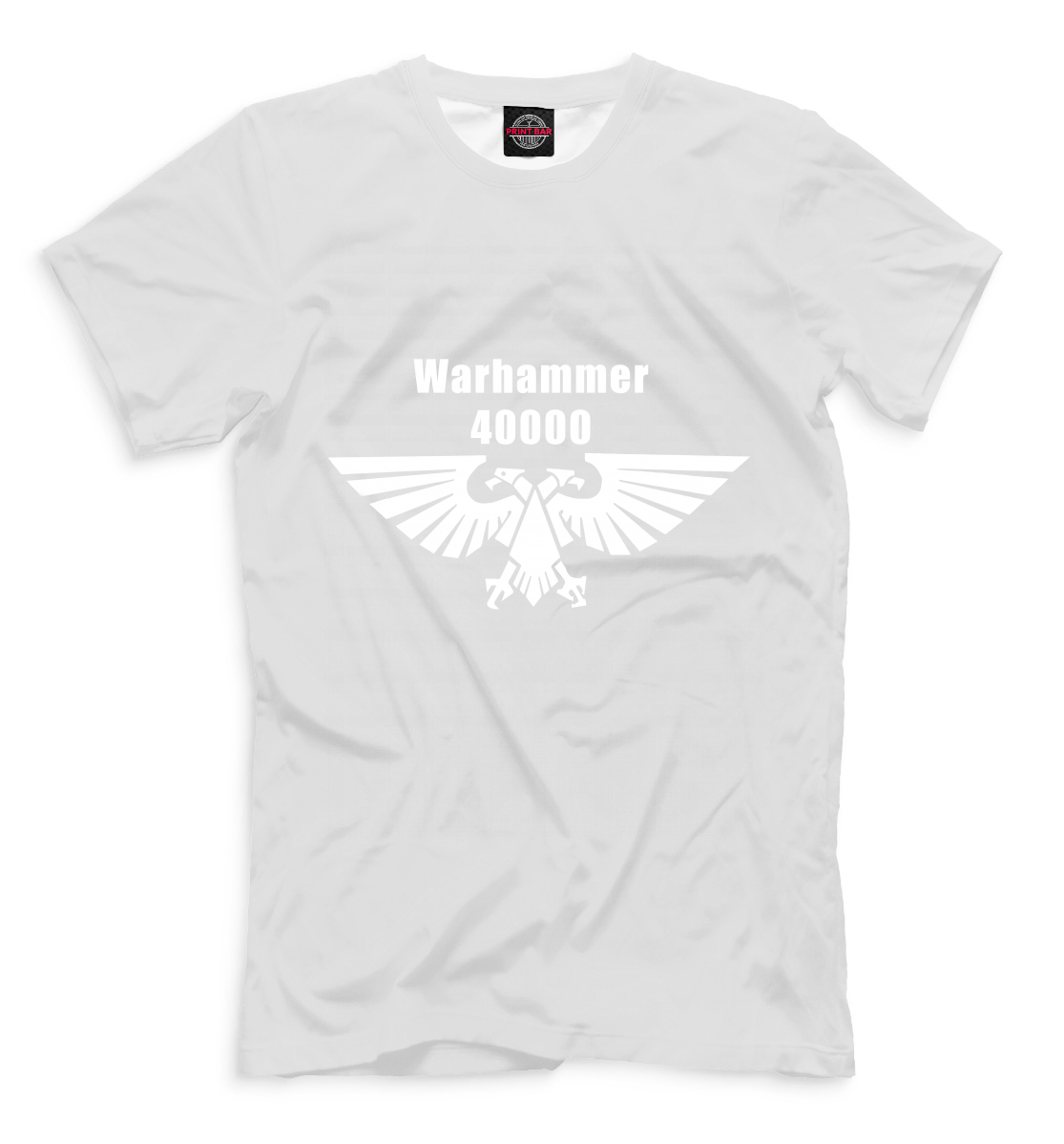 Aquila non captat muscas латынь. Aquila non captat muscas тату. Aquila non captat muscas латынь. Тату самбурской на руке. Орел не ловит мух.