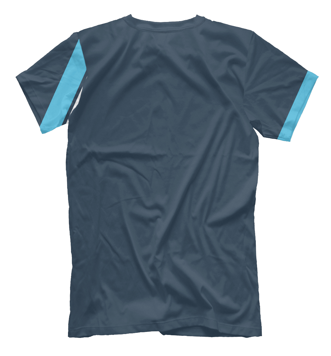 Мужская футболка с принтом Сборная Аргентины  - фото 2-спина