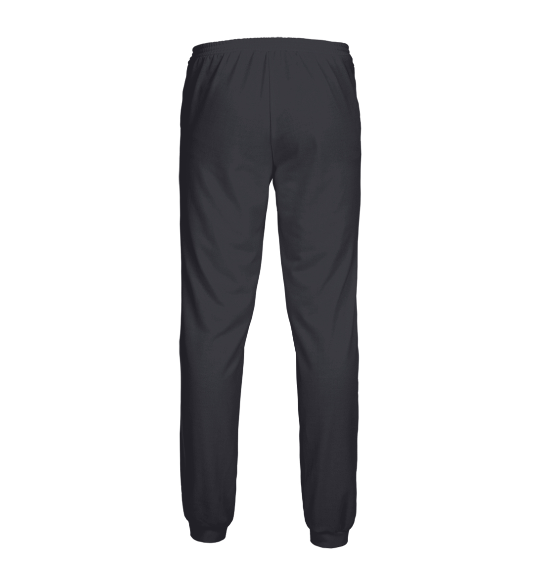 Мужские спортивные штаны с принтом Самбо (grey)  - фото 2-спина