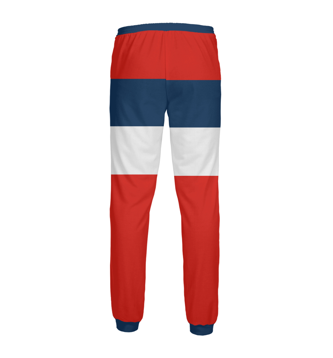 Мужские спортивные штаны с принтом СССР  - фото 2-спина